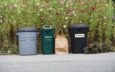 The Importance of Regular Garbage Pickups in West Vancouver
